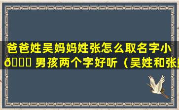 爸爸姓吴妈妈姓张怎么取名字小 🍀 男孩两个字好听（吴姓和张姓结合女孩取名有含义的）